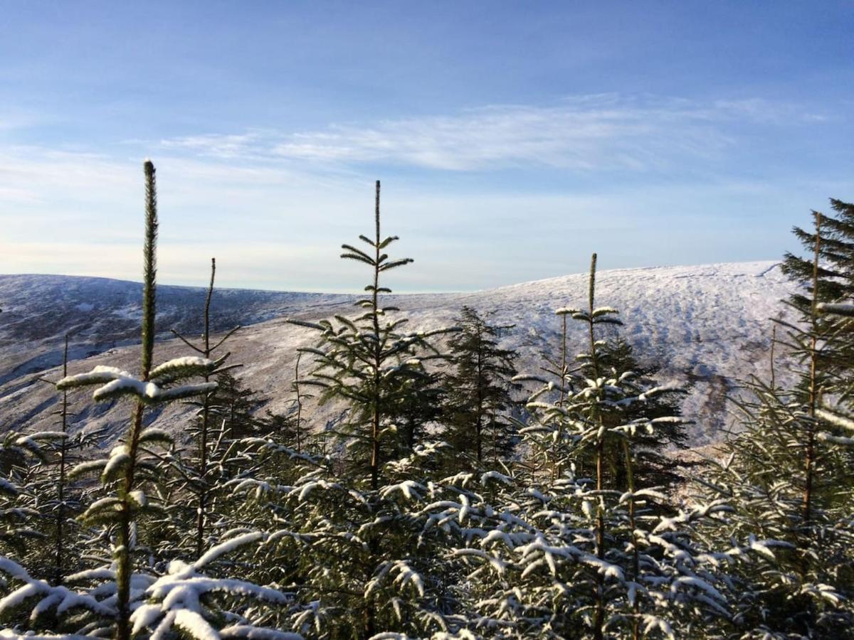 Aughavannagh Yurt Glamping Aughrim Exteriér fotografie
