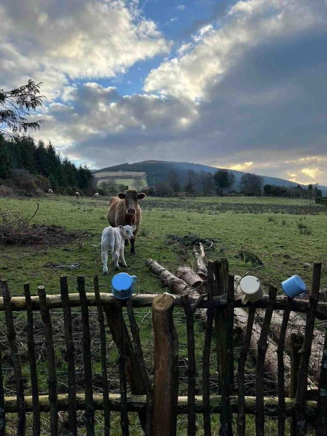 Aughavannagh Yurt Glamping Aughrim Exteriér fotografie
