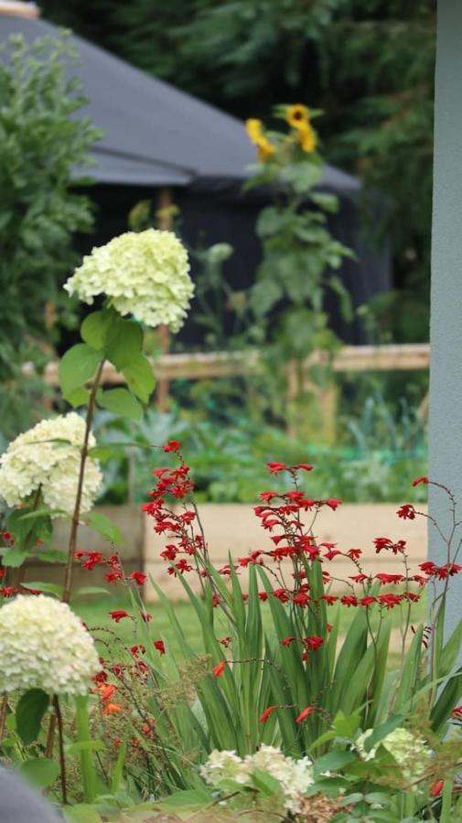Aughavannagh Yurt Glamping Aughrim Exteriér fotografie